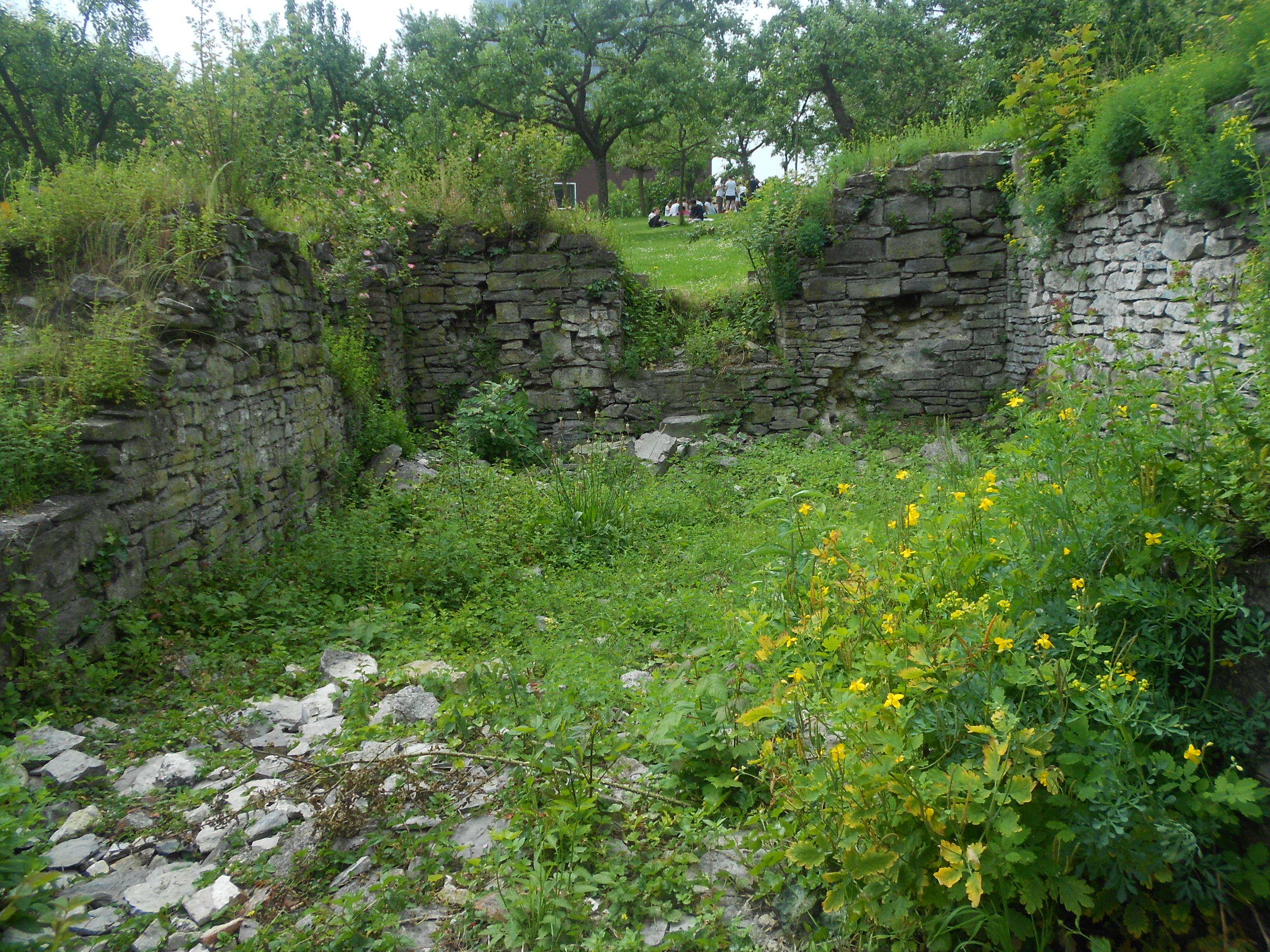 St. Abby's Ruins in Ghent 