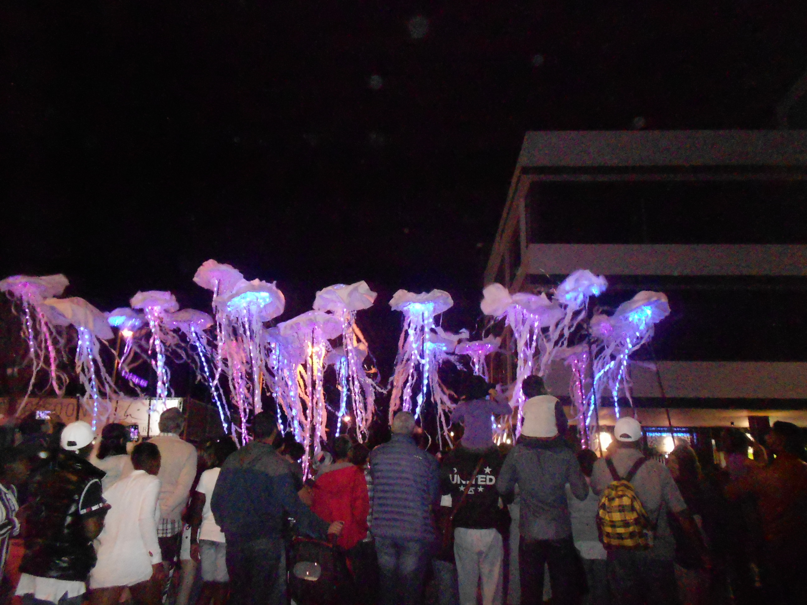 Jelly fish part of Cape Town Carnival