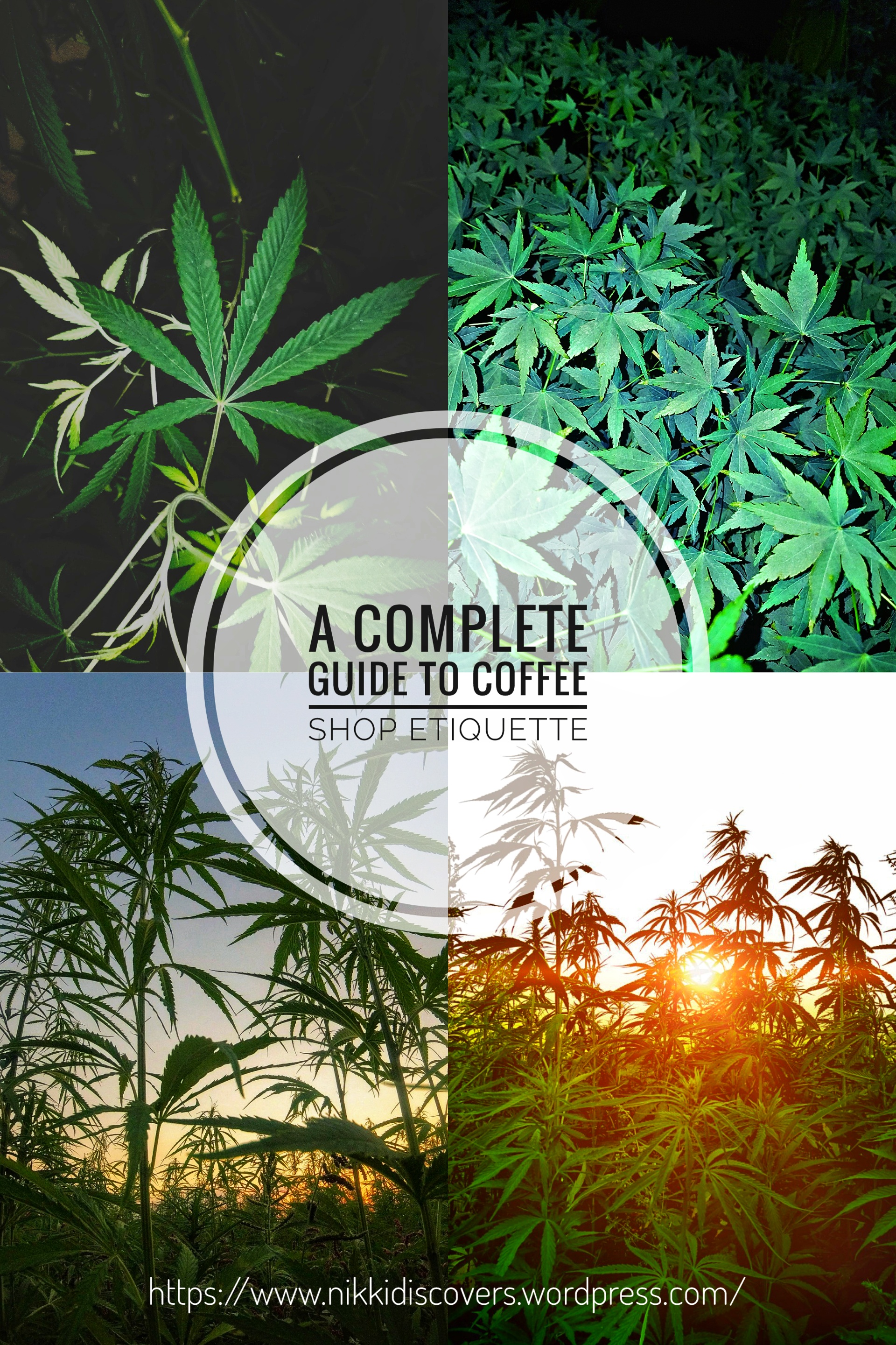 InShot_20190330_145235603-01