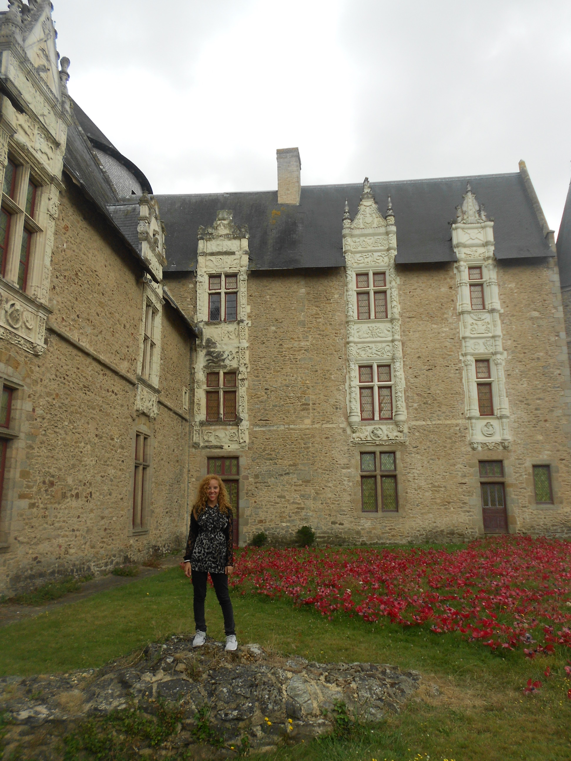 Laval's old castle 