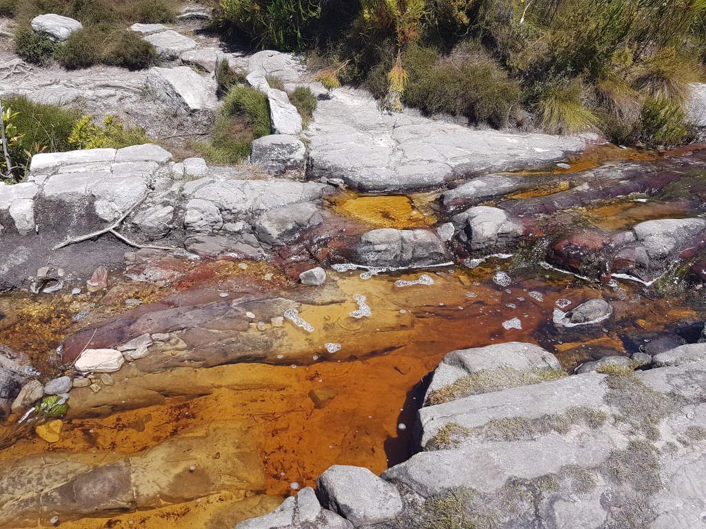 Stream along Elephants an't Eye hiking trail