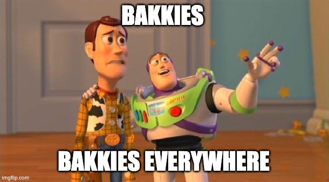Bakkie meme
