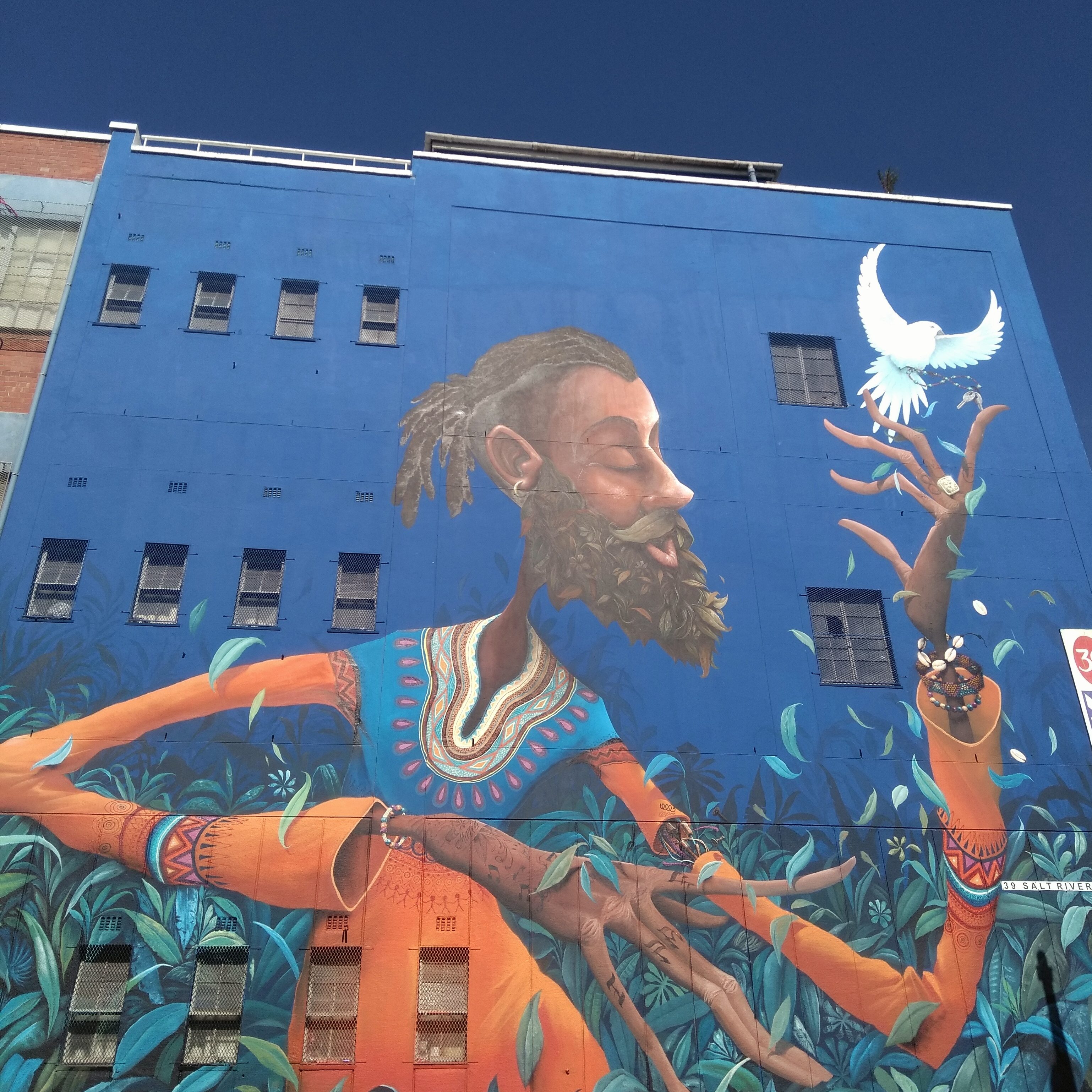 Cape Town virtual art tour