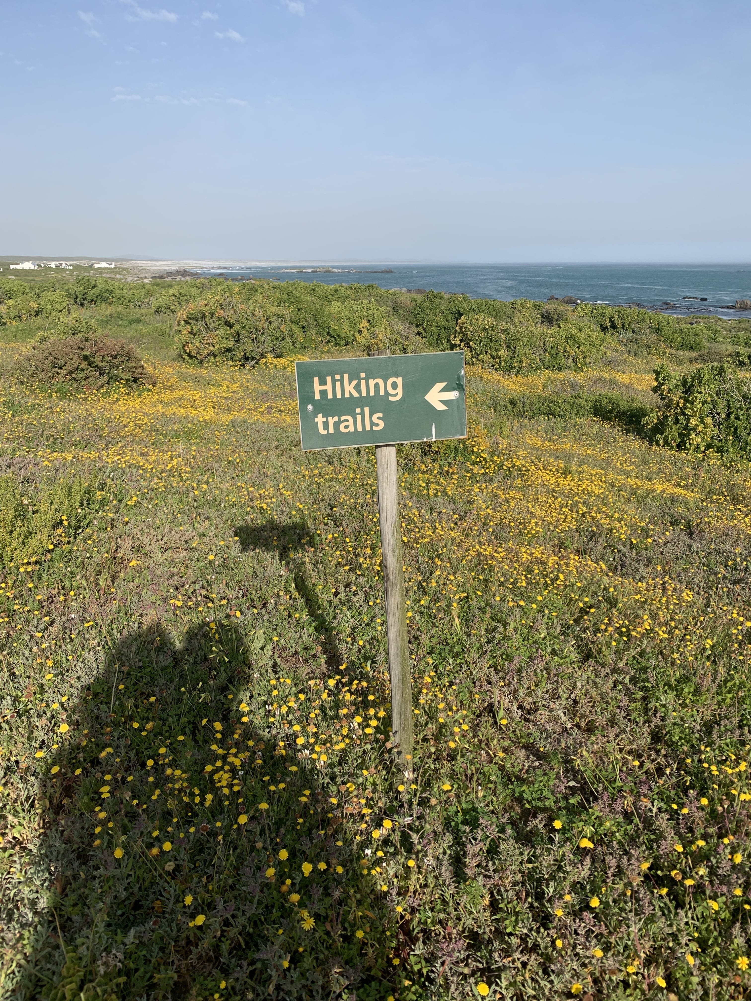 Hiking trails at West Coast National Park 