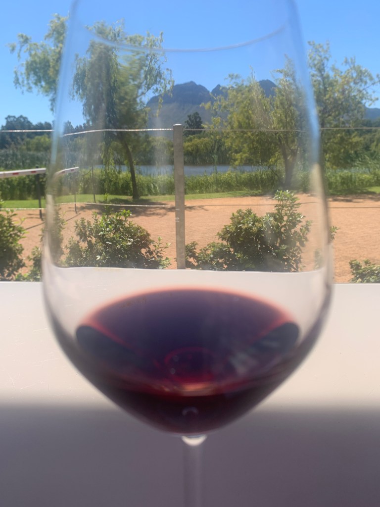 wine estate, morgenster 