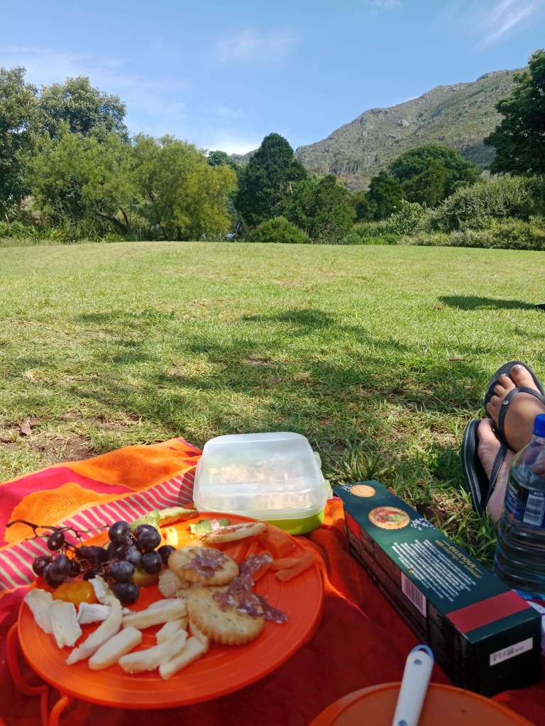 A picnic setup on a colorful blanket with an assortment of food items, including cheese, grapes, and crackers, set against a scenic landscape of trees and mountains.