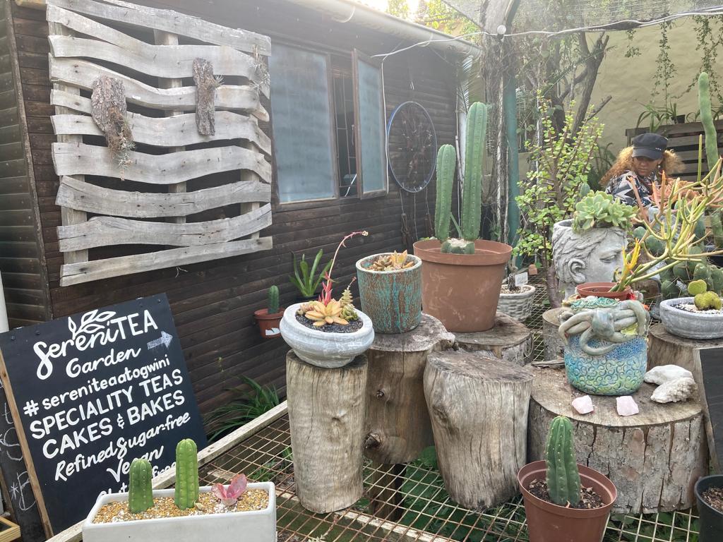 Tea Garden in Noordhoek